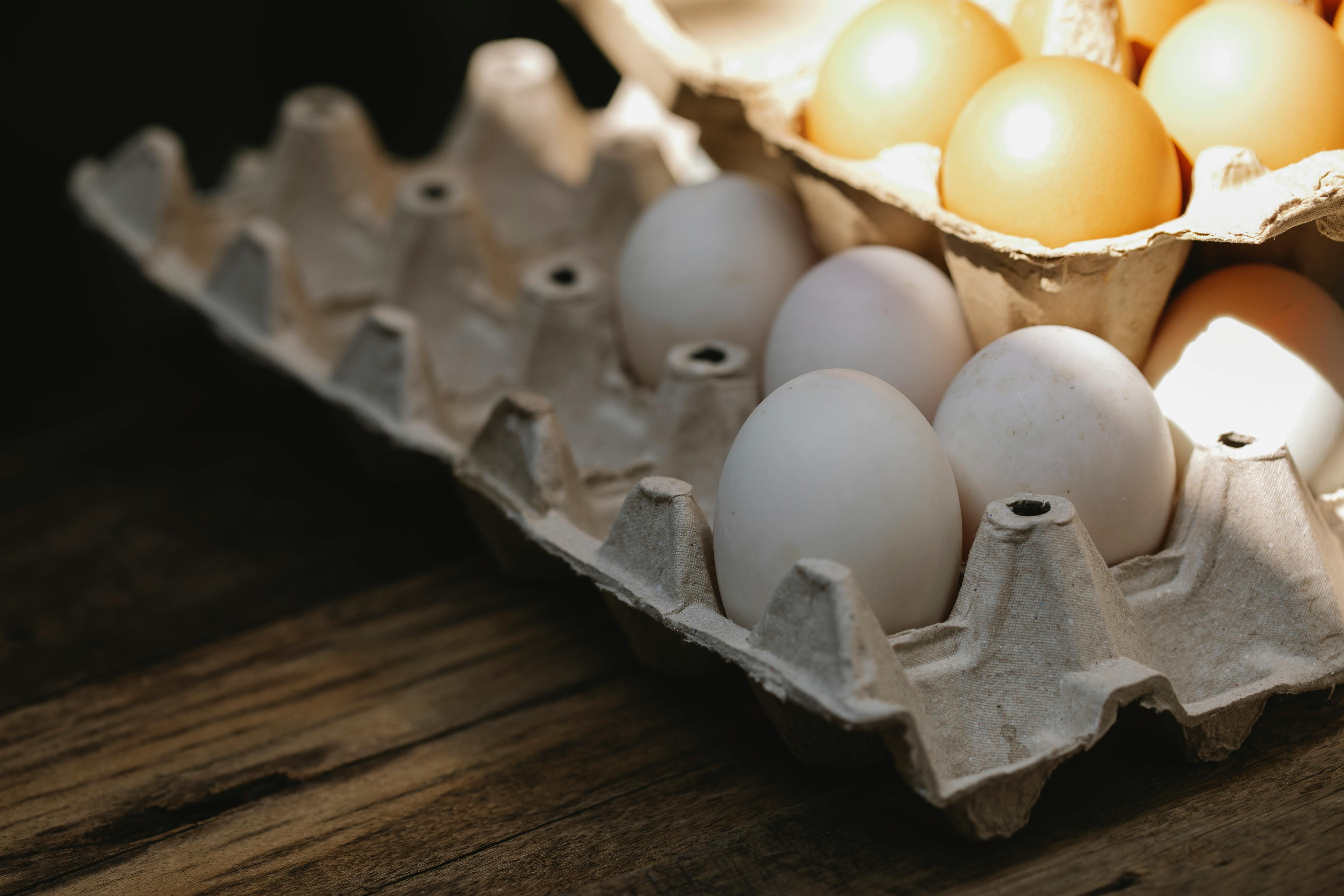 Egg Products Photo