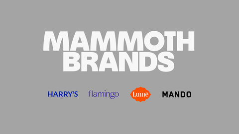 Mammoth Brands Lock Up